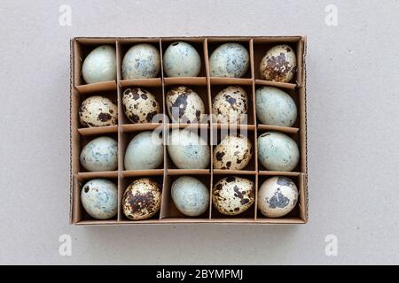 Quail eggs in paper box, top view. Festive time Stock Photo