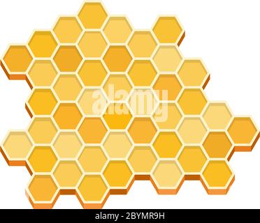 A piece of honeycomb flat isolated Stock Vector