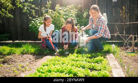 Two girls helping their mother working in garden and watering vegetables Stock Photo