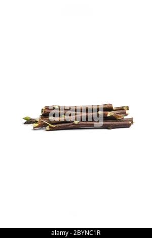 Neem sticks isolated on white background Stock Photo