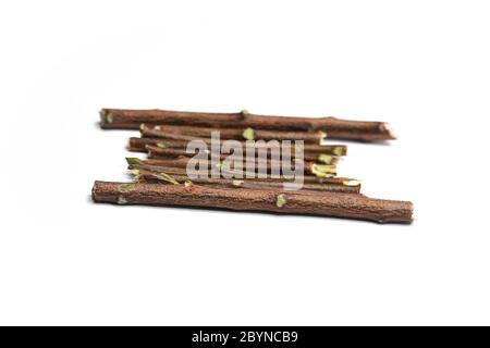 Neem sticks isolated on white background Stock Photo