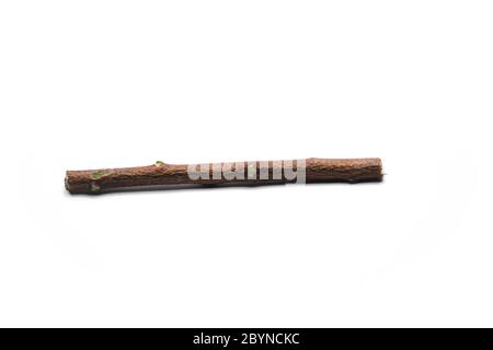 Neem stick isolated on white background Stock Photo