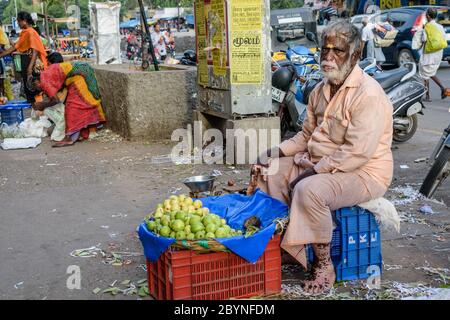 Chennai, Tamil Nadu, India - August 2018: An elderly Indian man selling guavas on the street. Stock Photo