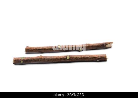 Neem sticks isolated on white background Stock Photo