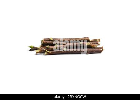 Neem sticks isolated on white background Stock Photo