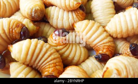 sago worm, larvae from the red palm weevil Stock Photo