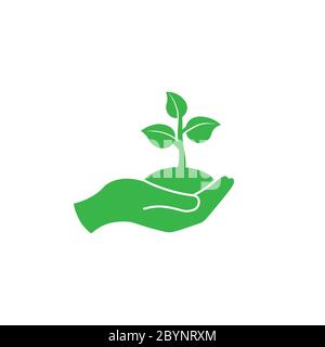 Hand holding seedlings with leaves or palm with sprout, ecology icon in green on an isolated white background. EPS 10 vector. Stock Vector