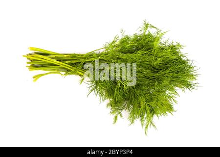 Fresh branches of green dill isolated Stock Photo