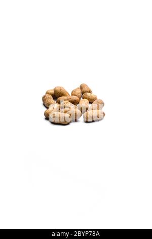 Dried peanuts isolated on white background Stock Photo