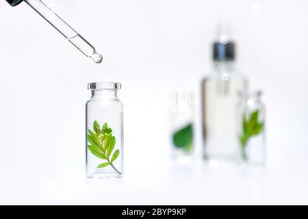 Bottles with herbs, natural essential oil, organic cosmetics on white background Stock Photo