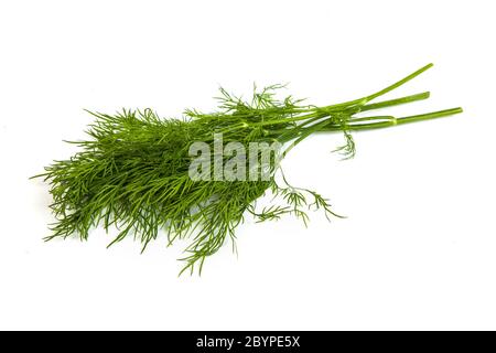Fresh branches of green dill isolated Stock Photo