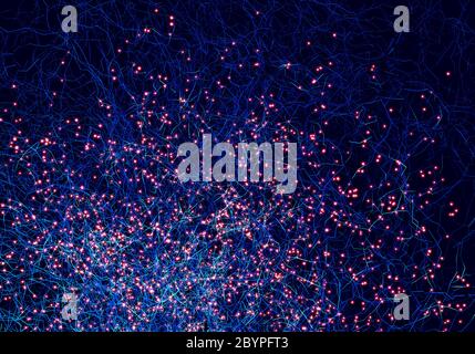 Finely structured network as in technology or biology, the Internet or neural connections - 3d illustration Stock Photo