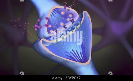 3d illustration of the scientific function of a synapse or neuronal connection with a nerve cell Stock Photo