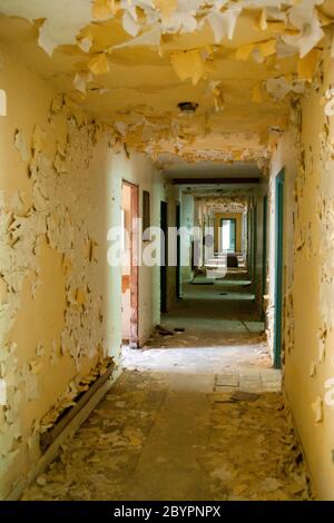 Peeling paint in the hallway of the abandoned Martin Inn Hotel in the ghost town of Ocean Falls, Great Bear Rainforest, British Columbia, Canada. Stock Photo