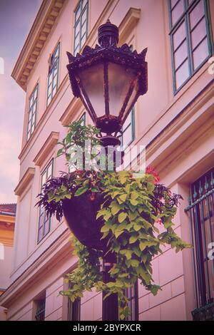 Ornate street lantern with beautiful hanging flower pot in front of an old building. Hanging potted flowers on a street lamp in Budapest. Architecture Stock Photo