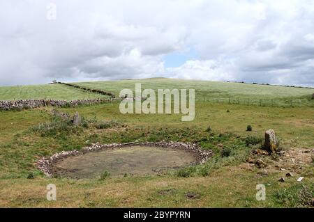 A mere pond on a Staffordshire farm which provides drinking water for livestock Stock Photo