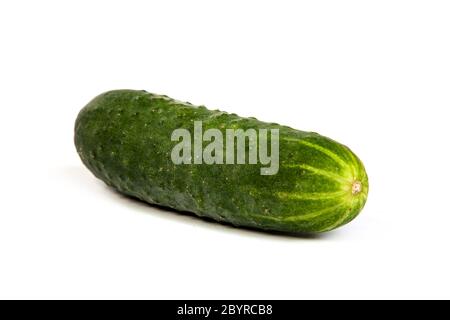 Five Fresh Cucumbers isolated on white Stock Photo