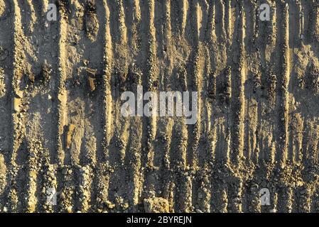 Excavator tracks on the ground texture. Mud ground earth soil trace tracks marks markings dry surface texture. Stock Photo