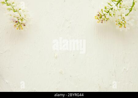 Beautiful pastel floral border beautiful blurred background -shallow depth of field Stock Photo