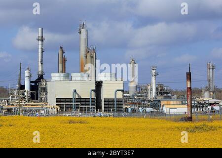 Gas Plant, Des Allemands, Louisiana, USA Stock Photo