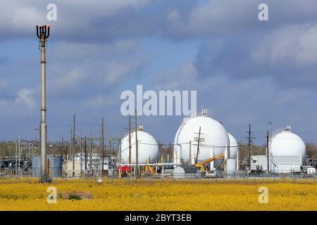 Gas Plant, Des Allemands, Louisiana, USA Stock Photo