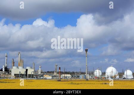 Gas Plant, Des Allemands, Louisiana, USA Stock Photo