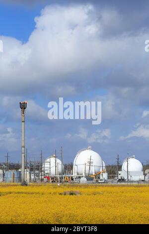 Gas Plant, Des Allemands, Louisiana, USA Stock Photo