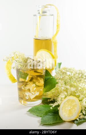 Syrup from elderberry flowers in a bottle and homemade lemonade with ice cubes, lemon and some fresh blossoms against a white background, copy space, Stock Photo