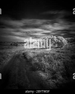 moody dark dramatic black and white landscape horror sky clouds Stock Photo