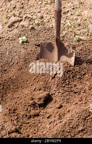 Community garden Stock Photo