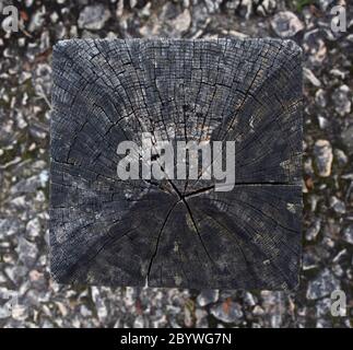 Cracked wooden post on stone floor Stock Photo