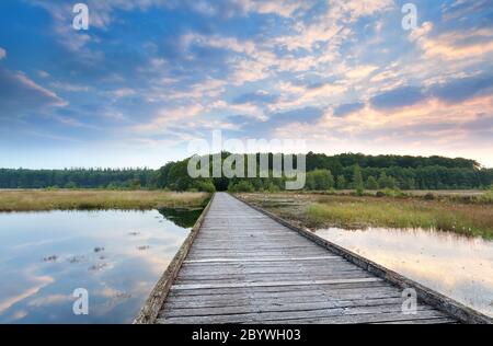 wooden bridge through swamp at sunrise Stock Photo