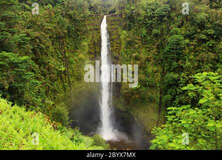 Scenic landscape with waterfall inside rainforest. Akaka Falls State Park, Hawaii Big Island, USA.