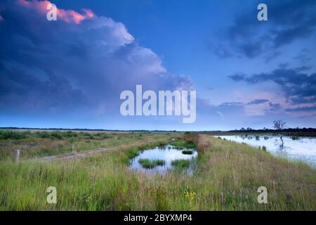 stormy sky at sunset over swamp Stock Photo