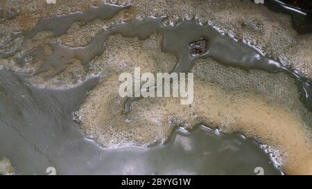 Scum bubbles floating on a surface of polluted water Stock Photo