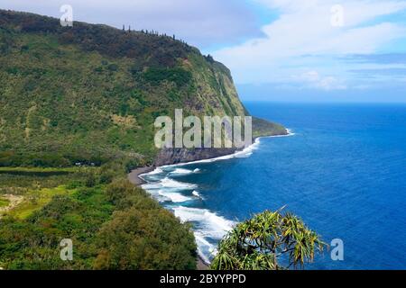 Amazing Waipio Valley landscape. Aerial view with volcanic origin cliff in the bright blue Pacific ocean water and valley with residential neighborhoo Stock Photo