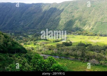 Scenic aerial view of valley with residential neighborhood between hills with lush tropical plants and trees at Waipio Valley. Stock Photo