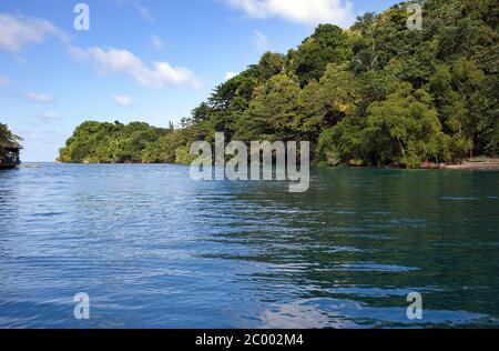 Jamaica. Sea lagoon and tropical vegetation Stock Photo