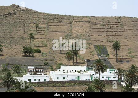 landscape and lifestyle in lanzarote Stock Photo