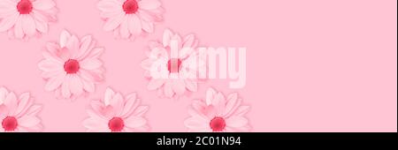Monochrome pink flower floral long banner or poster. Chamomile or chrysanthemum flower pattern. Copy space, top view Stock Photo