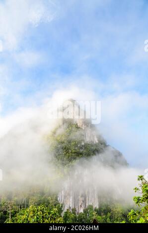 Lush high mountains covered by mist Stock Photo