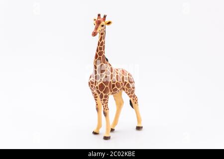 close up of a giraffe from a plastic toy isolated on a white background Stock Photo