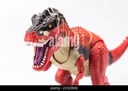 close-up of a plastic tyranosaurus colorfull figurine isolated on a white background Stock Photo