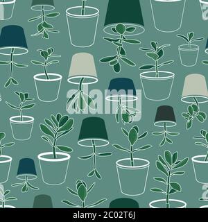 Jade Plants in Pots Vector Drawing Seamless Pattern. Money Plant Design ...