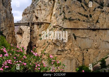 Caminito del Rey open again after the Covi-19 lockdown, El Chorro, Malaga, Ardales natural park ,Andalucia, Spain, Europe Stock Photo