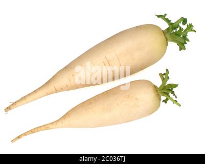 Two fresh daikon radishes isolated on white background Stock Photo