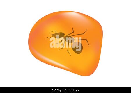 Insects in a drop of amber isolated on white background. Ancient amber midge inclusion. Piece of amber with a prehistoric ant inside.Stock vector Stock Vector