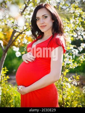 Beautiful pregnant woman in red dress in the flowering spring park Stock Photo