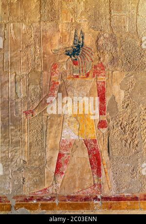 ancient egypt color image of anubis Stock Photo