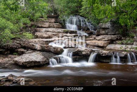 East Gill Falls meeting the River Swale, near Keld in the Yorkshire DAles National Park, UK. Stock Photo